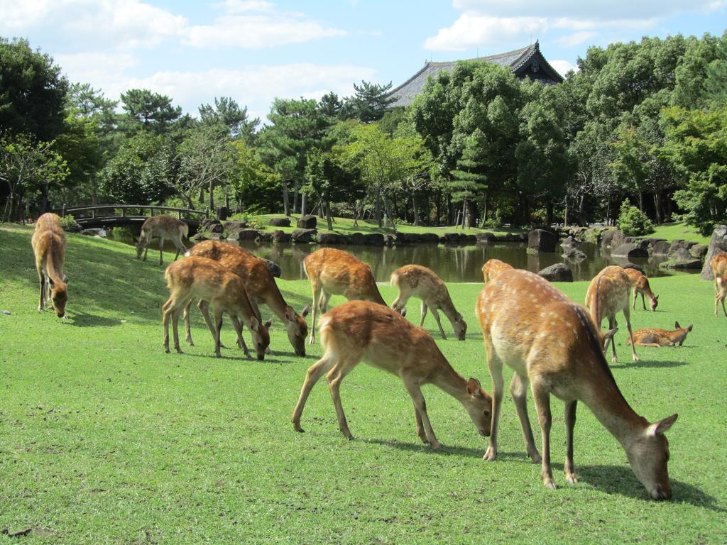 Hotel Hanakomichi Nara Bagian luar foto